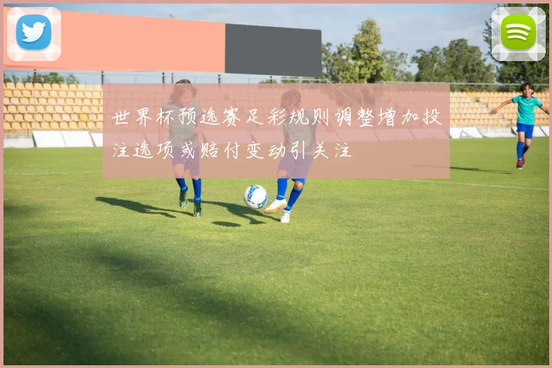 世界杯预选赛足彩规则调整增加投注选项或赔付变动引关注