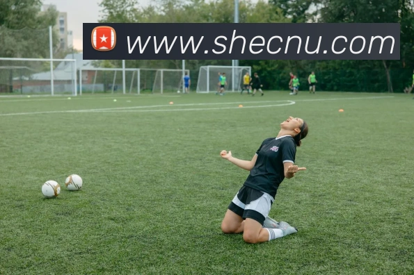 多媒体互动体验